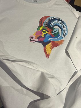 Création et réalisation de tee-shirt en flex imprimable